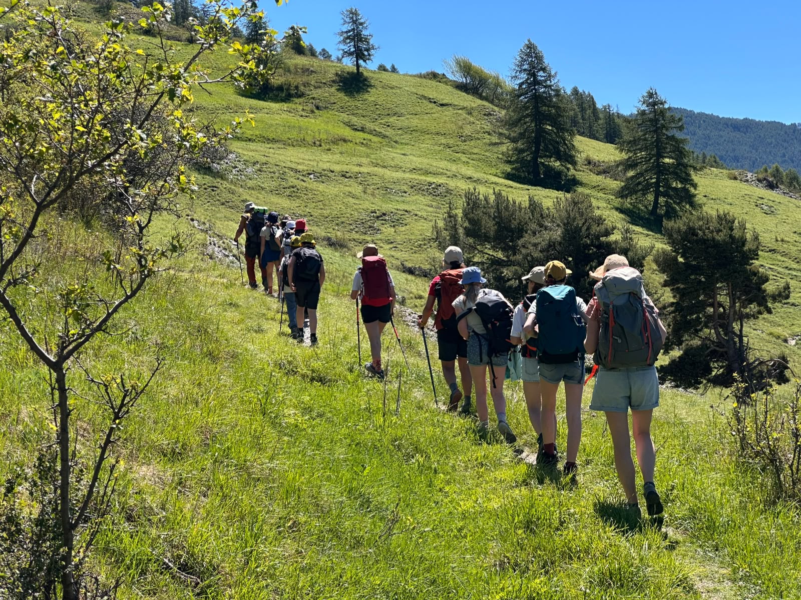 La classe du secondaire en marche dans les alpages du Queyras