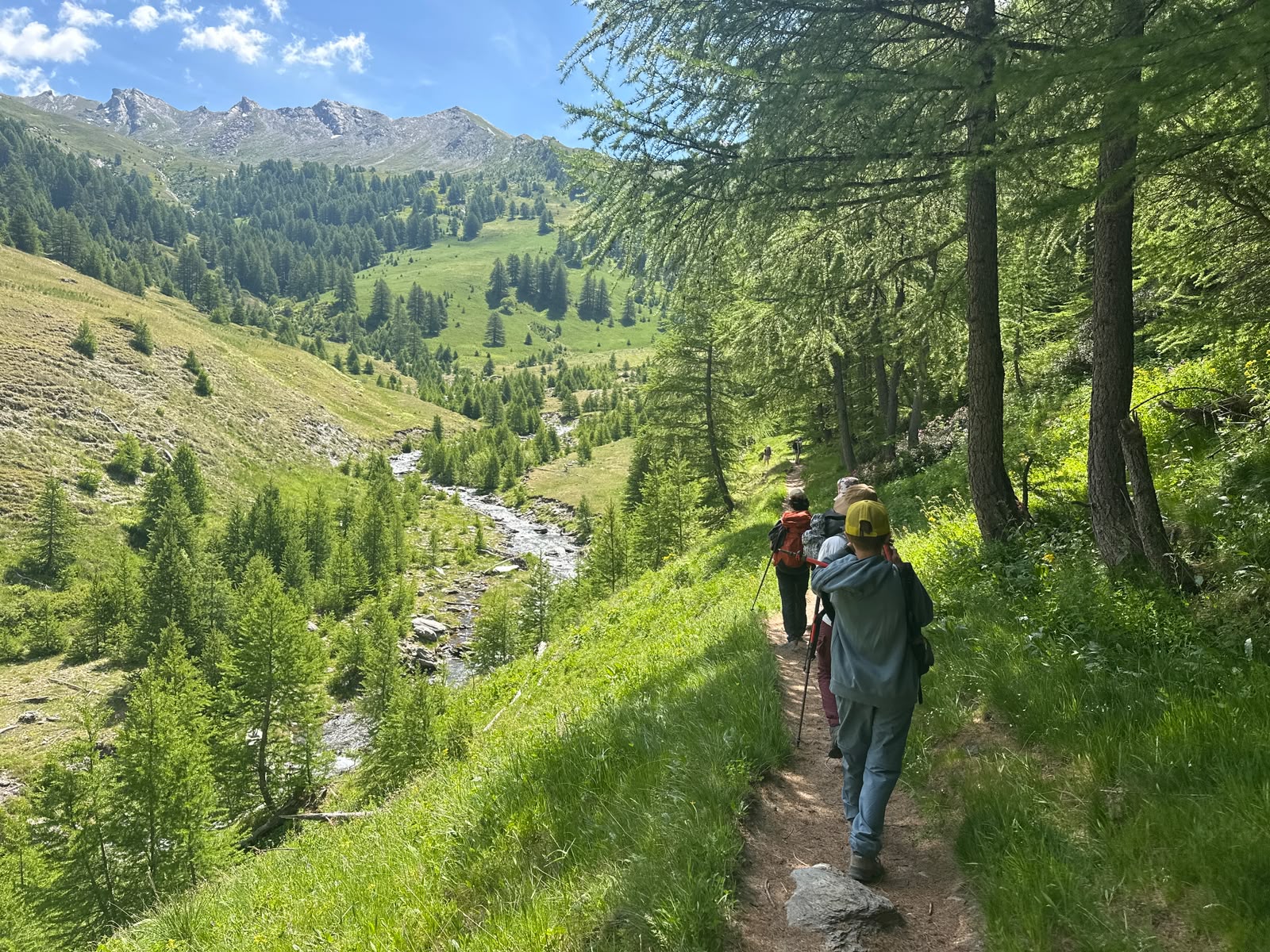La classe en randonnée le long d'un torrent, dans le Queyras